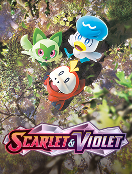 Scarlet Violet Base